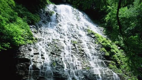 科技高效高效